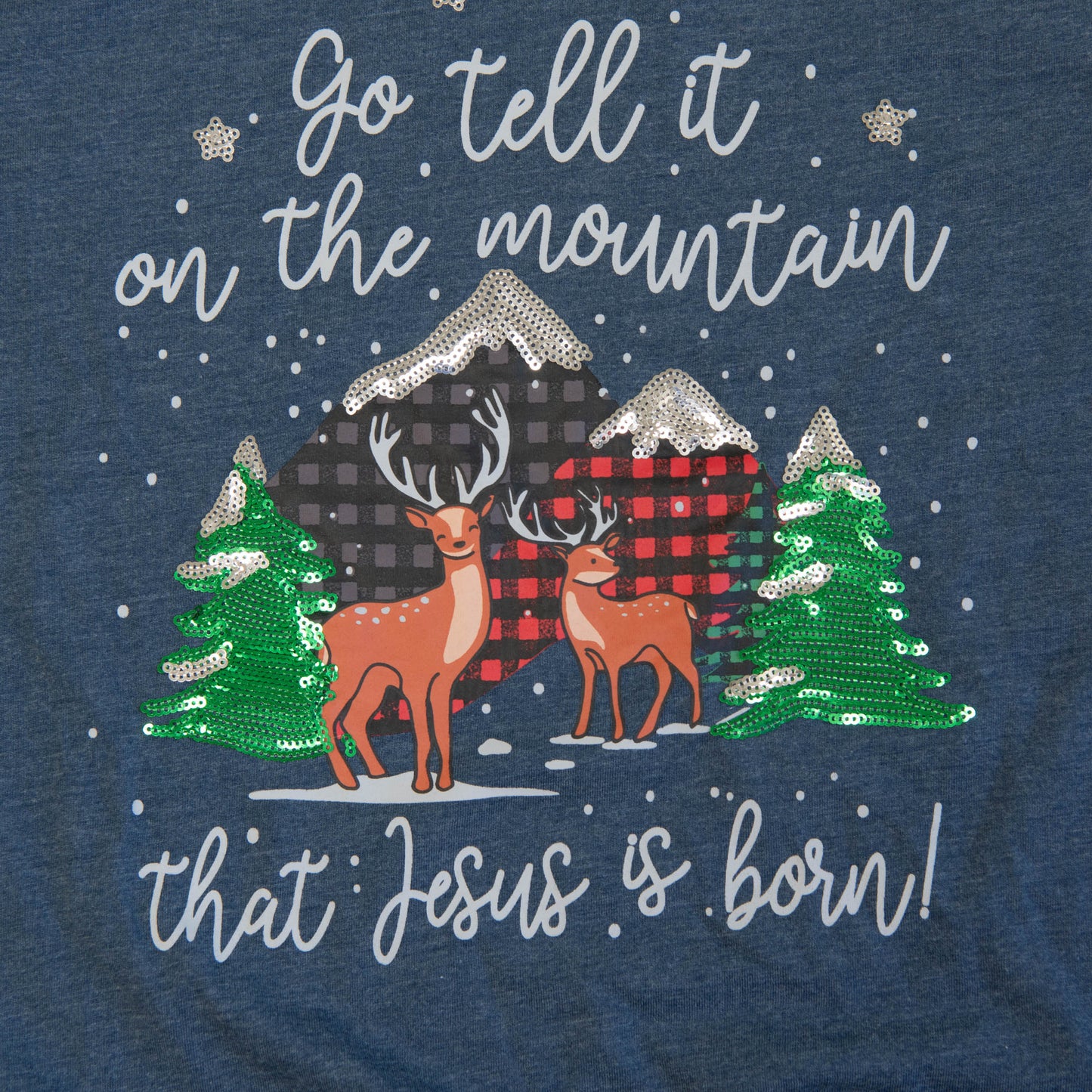 Go Tell Long Sleeve Sequin Tee