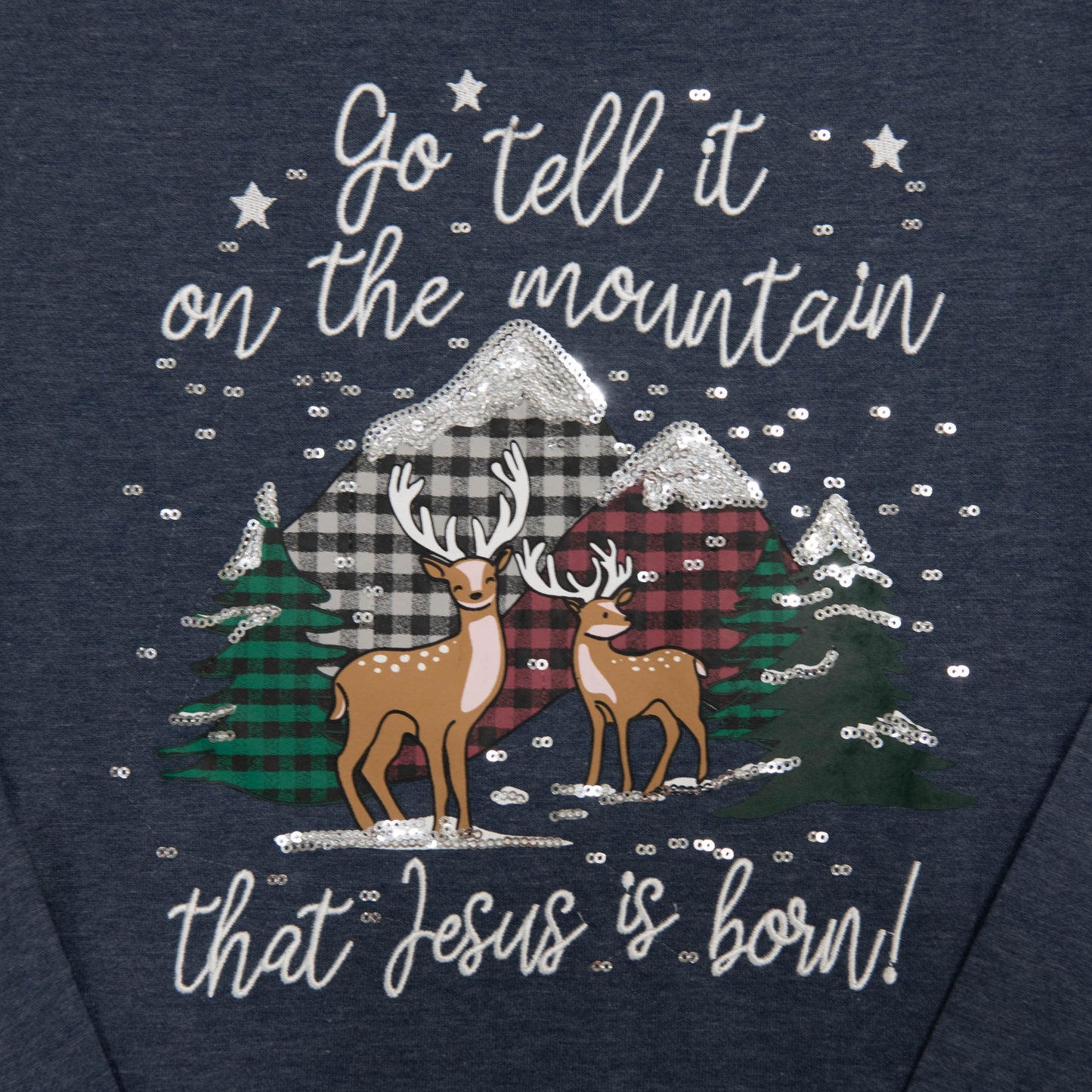 Go Tell Embellished Sweatshirt - 24