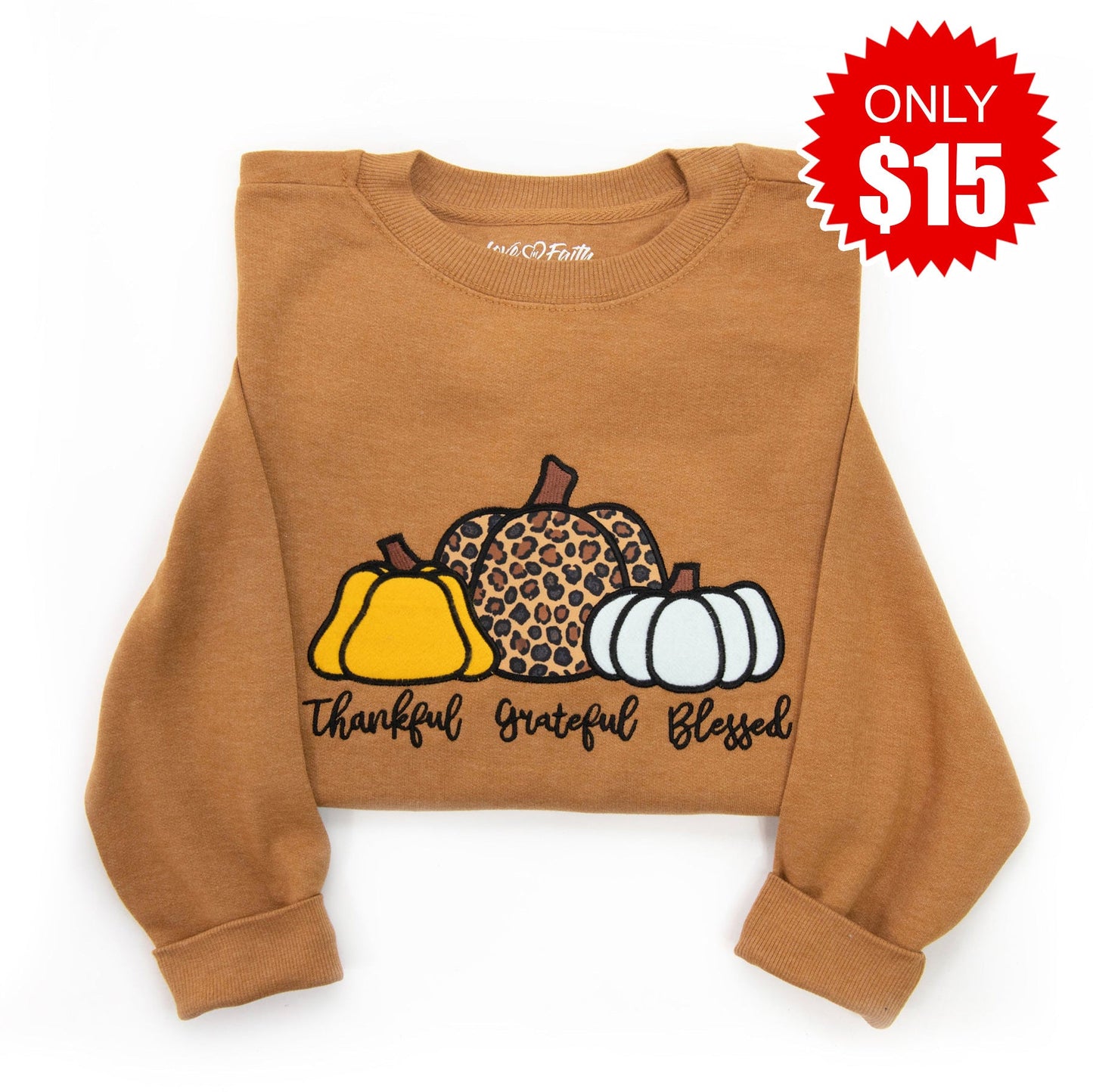 Embellished Thankful Grateful Blessed Pumpkins Sweatshirt