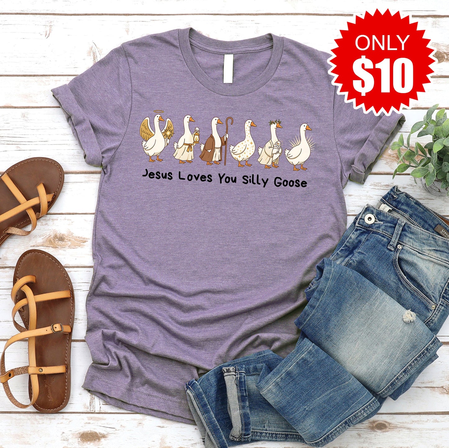 Jesus Loves You Silly Goose Tee - Heather Deep Purple - 10